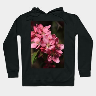 Crab Apple Blossoms Hoodie